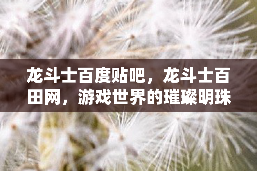 龙斗士百度贴吧，龙斗士百田网，游戏世界的璀璨明珠