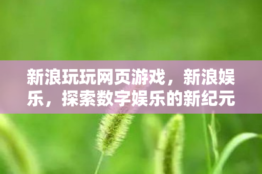 新浪玩玩网页游戏，新浪娱乐，探索数字娱乐的新纪元