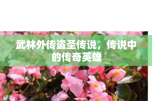 武林外传盗圣传说，传说中的传奇英雄