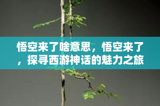 悟空来了啥意思，悟空来了，探寻西游神话的魅力之旅