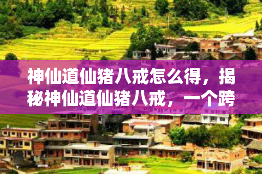 神仙道仙猪八戒怎么得，揭秘神仙道仙猪八戒，一个跨越三界的多面传奇人物