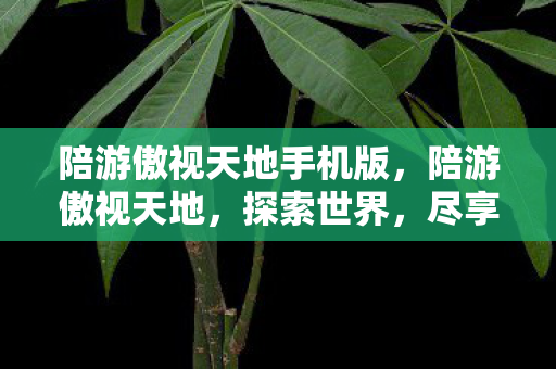 陪游傲视天地手机版，陪游傲视天地，探索世界，尽享人生之旅