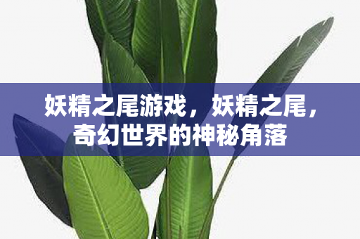 妖精之尾游戏，妖精之尾，奇幻世界的神秘角落