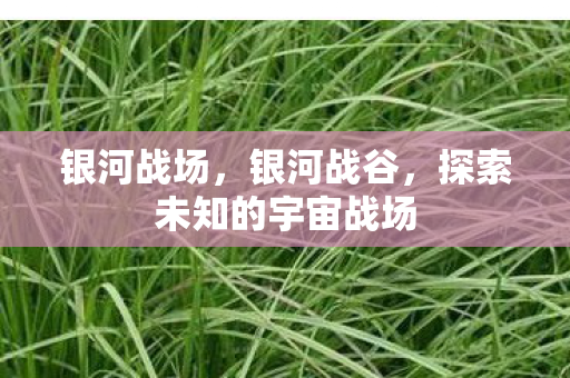 银河战场，银河战谷，探索未知的宇宙战场