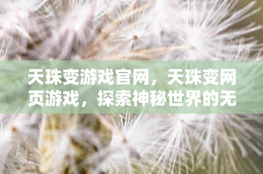 天珠变游戏官网，天珠变网页游戏，探索神秘世界的无尽魅力