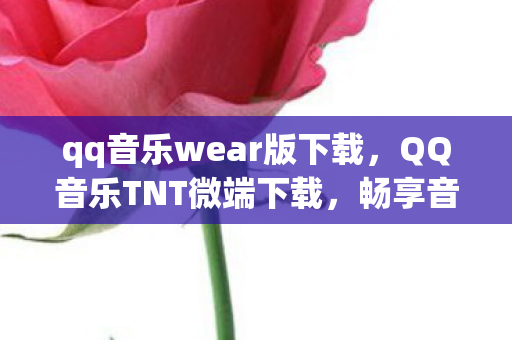 qq音乐wear版下载，QQ音乐TNT微端下载，畅享音乐的新方式
