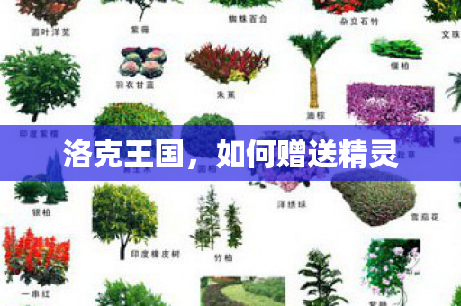 洛克王国，如何赠送精灵