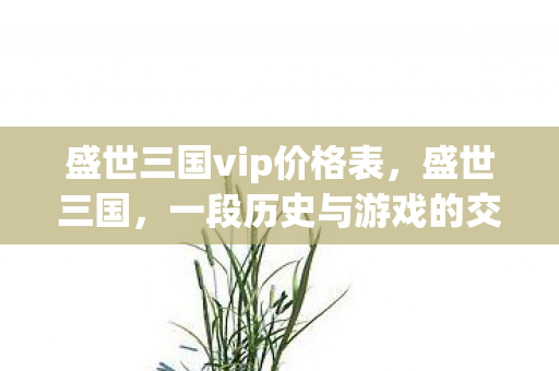 盛世三国vip价格表，盛世三国，一段历史与游戏的交织传奇