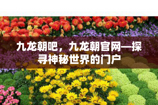 九龙朝吧，九龙朝官网—探寻神秘世界的门户