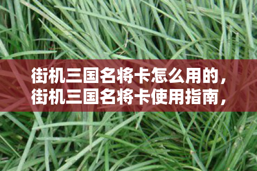 街机三国名将卡怎么用的，街机三国名将卡使用指南，玩转经典游戏的新技巧