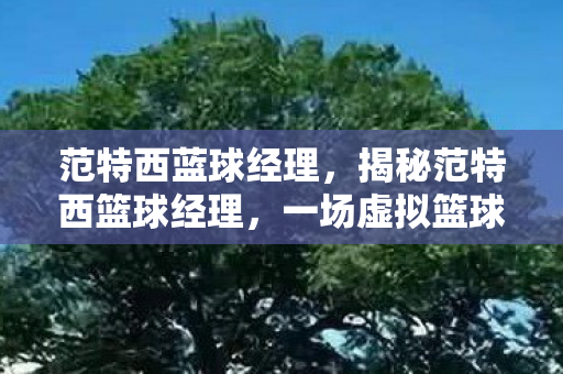 范特西蓝球经理，揭秘范特西篮球经理，一场虚拟篮球的奇幻之旅