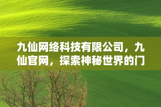 九仙网络科技有限公司，九仙官网，探索神秘世界的门户