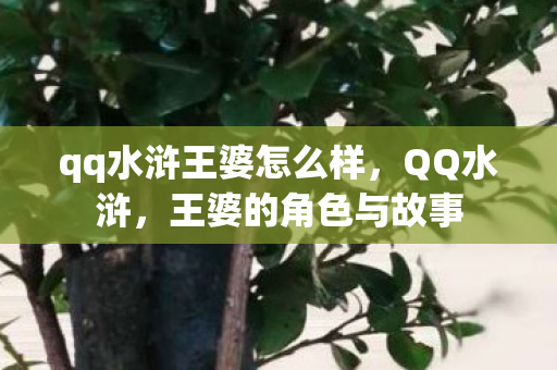 qq水浒王婆怎么样，QQ水浒，王婆的角色与故事
