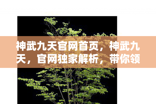 神武九天官网首页，神武九天，官网独家解析，带你领略奇幻世界