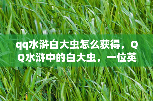 qq水浒白大虫怎么获得，QQ水浒中的白大虫，一位英雄的成长与挑战