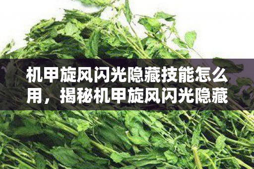 机甲旋风闪光隐藏技能怎么用，揭秘机甲旋风闪光隐藏技能，深度解析与实战应用