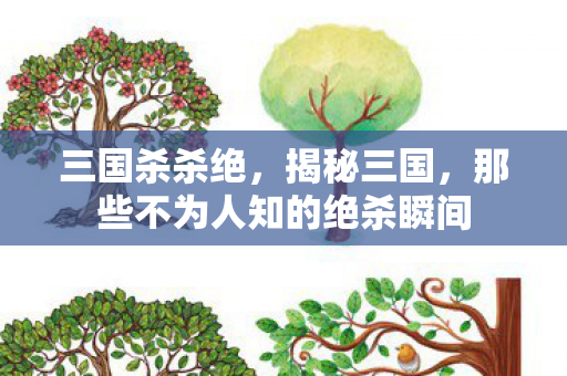 三国杀杀绝，揭秘三国，那些不为人知的绝杀瞬间