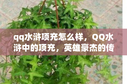 qq水浒项充怎么样，QQ水浒中的项充，英雄豪杰的传奇故事