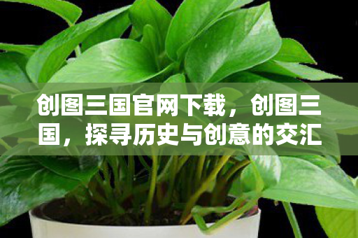 创图三国官网下载，创图三国，探寻历史与创意的交汇点