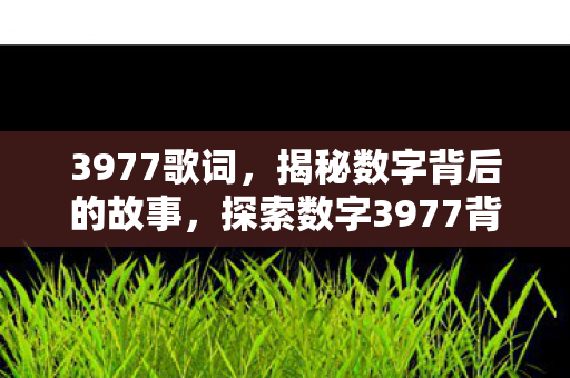 3977歌词，揭秘数字背后的故事，探索数字3977背后的神秘面纱