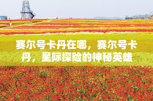 赛尔号卡丹在哪，赛尔号卡丹，星际探险的神秘英雄