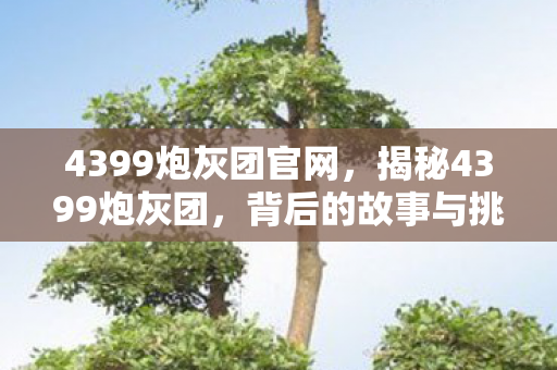 4399炮灰团官网，揭秘4399炮灰团，背后的故事与挑战
