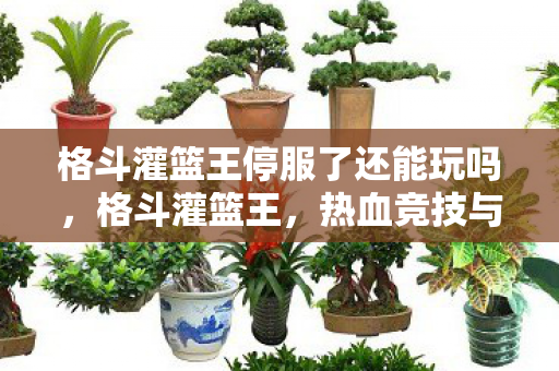 格斗灌篮王停服了还能玩吗，格斗灌篮王，热血竞技与篮球魅力的完美结合