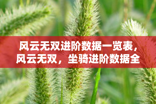 风云无双进阶数据一览表，风云无双，坐骑进阶数据全解析