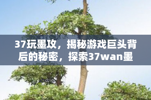 37玩墨攻，揭秘游戏巨头背后的秘密，探索37wan墨攻的世界