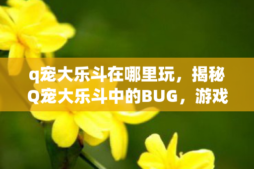 q宠大乐斗在哪里玩，揭秘Q宠大乐斗中的BUG，游戏漏洞与应对策略