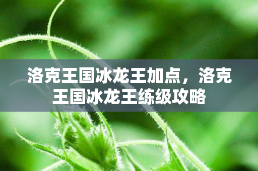 洛克王国冰龙王加点，洛克王国冰龙王练级攻略