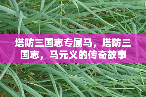 塔防三国志专属马，塔防三国志，马元义的传奇故事