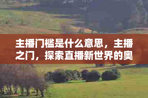 主播门槛是什么意思，主播之门，探索直播新世界的奥秘与挑战