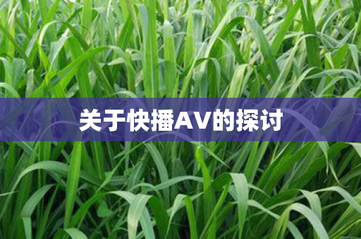 关于快播AV的探讨