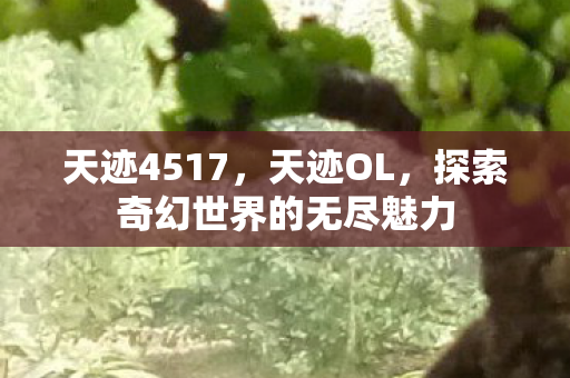 天迹4517，天迹OL，探索奇幻世界的无尽魅力