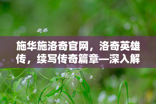 施华施洛奇官网，洛奇英雄传，续写传奇篇章—深入解析洛奇英雄传官网及游戏特色