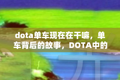 dota单车现在在干嘛，单车背后的故事，DOTA中的速度与激情