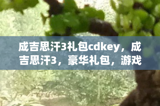 成吉思汗3礼包cdkey，成吉思汗3，豪华礼包，游戏盛宴的开启之门