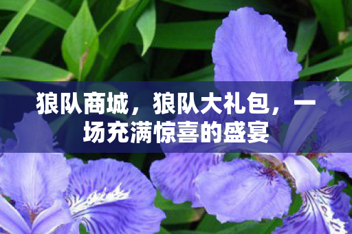 狼队商城，狼队大礼包，一场充满惊喜的盛宴