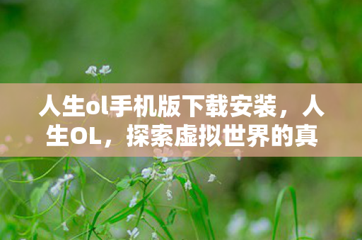 人生ol手机版下载安装，人生OL，探索虚拟世界的真实人生体验