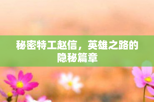 秘密特工赵信，英雄之路的隐秘篇章