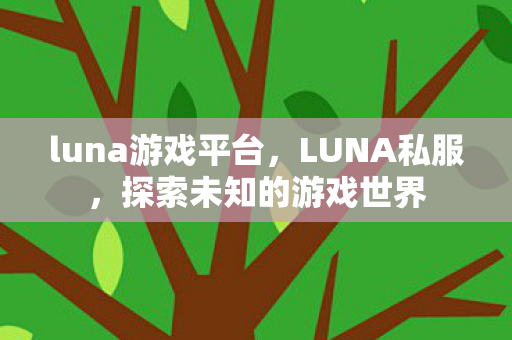 luna游戏平台，LUNA私服，探索未知的游戏世界