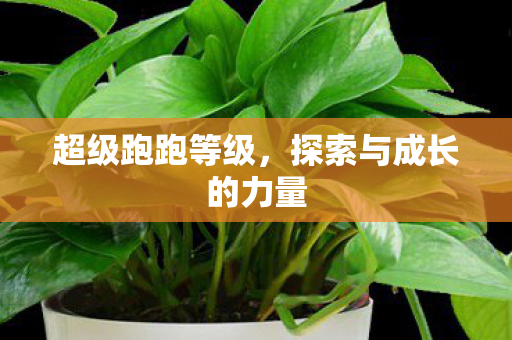 超级跑跑等级，探索与成长的力量