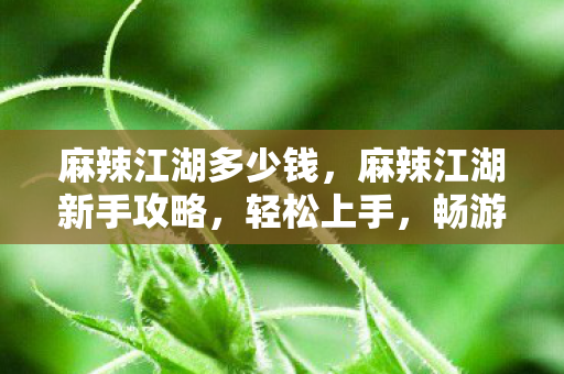 麻辣江湖多少钱，麻辣江湖新手攻略，轻松上手，畅游江湖世界！