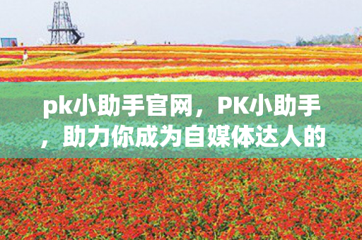 pk小助手官网，PK小助手，助力你成为自媒体达人的秘密武器