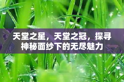 天堂之星，天堂之冠，探寻神秘面纱下的无尽魅力
