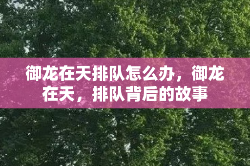 御龙在天排队怎么办，御龙在天，排队背后的故事