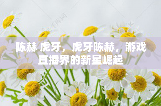 陈赫 虎牙，虎牙陈赫，游戏直播界的新星崛起