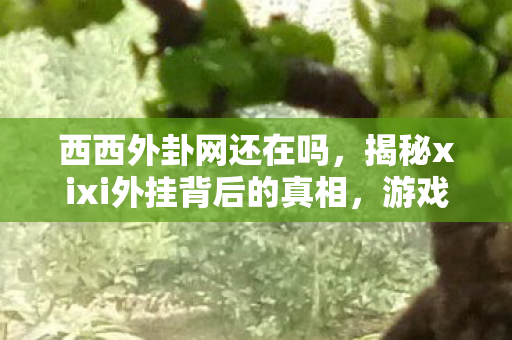 西西外卦网还在吗，揭秘xixi外挂背后的真相，游戏世界的双刃剑