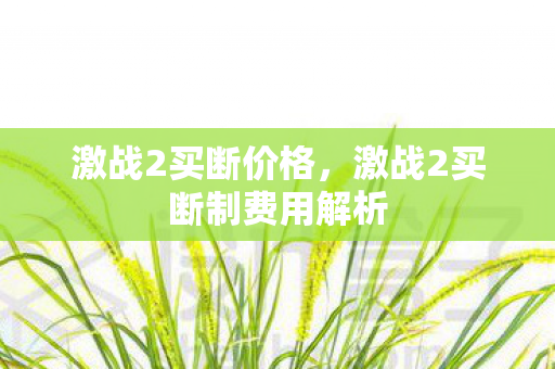 激战2买断价格，激战2买断制费用解析